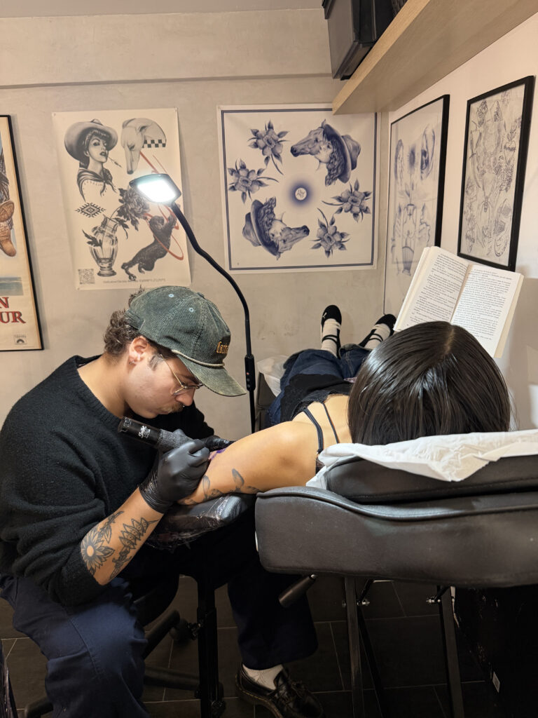 Maison Tigre Bleu Salon 5